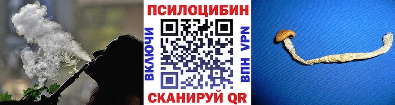 Купить где  Корсаков  Псилоцибиновые грибы мухоморы 